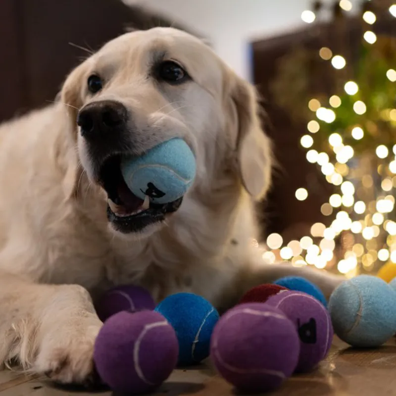 Petface Tennis Ball Christmas Tree-2